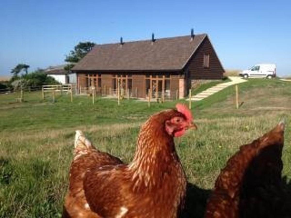 Poachers Hut - Captivating 1-Bed Cottage Shorwell Экстерьер фото